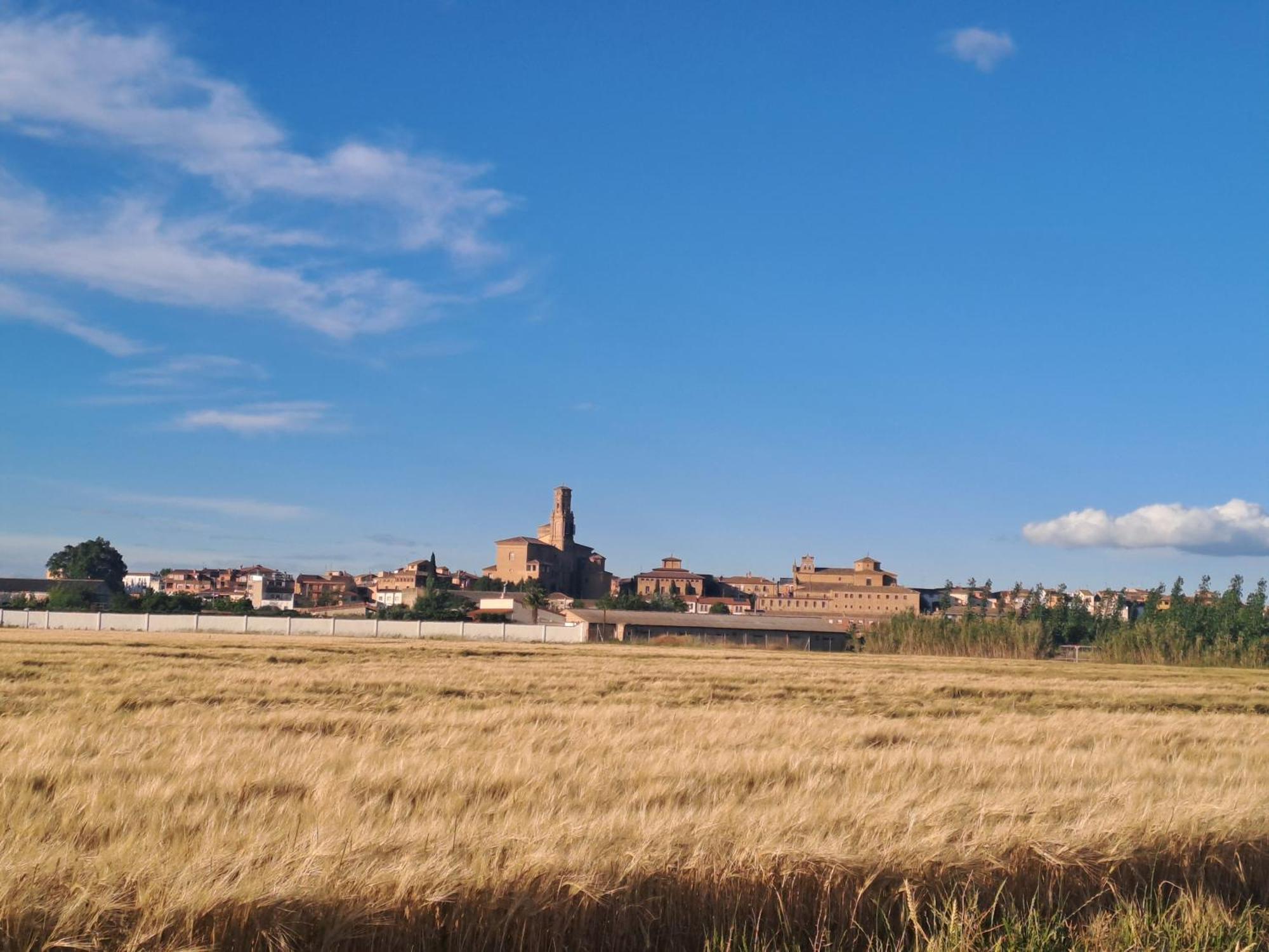 Apto Rural Alesves Esencia De Bardenas Navarra Villafranca Exterior foto